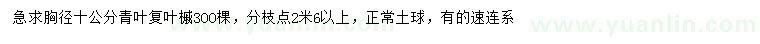 求購胸徑10公分青葉復(fù)葉槭