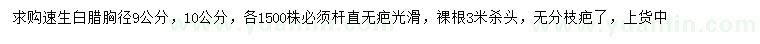 求購胸徑9、10公分速生白臘