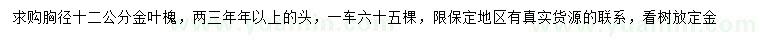 求購胸徑12公分金葉槐
