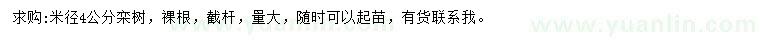 求購(gòu)米徑4公分欒樹