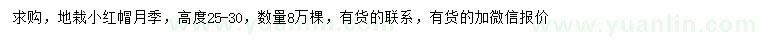 求購(gòu)高25-30公分地栽小紅帽月季