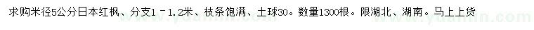 求購5公分日本紅楓
