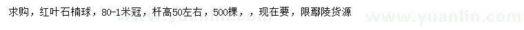 求購(gòu)冠幅80-100公分紅葉石楠球