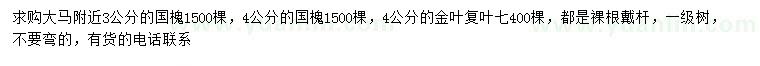 求購(gòu)3、4公分國(guó)槐、4公分金葉復(fù)葉槭