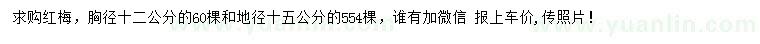 求購胸徑12公分、地徑15公分紅梅
