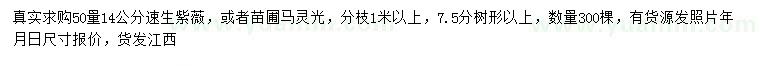 求購50公分量14公分速生紫薇