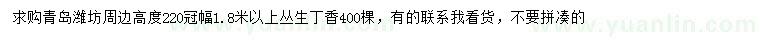求購高220公分叢生丁香