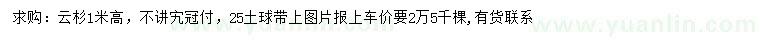 求購高1米云杉