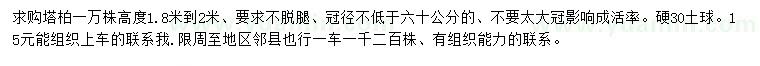 求購1.8-2米塔柏