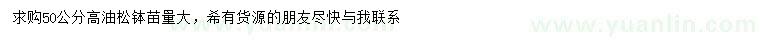 求購高50公分油松