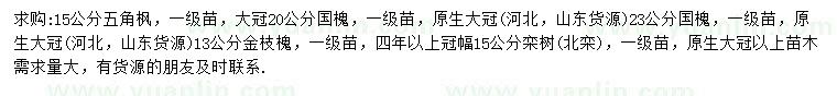 求購五角楓、國槐、金枝槐等