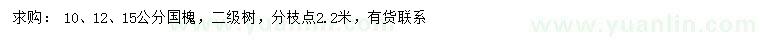 求購10、12、15公分國(guó)槐