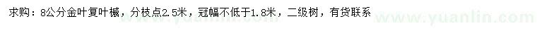 求購(gòu)8公分金葉復(fù)葉槭