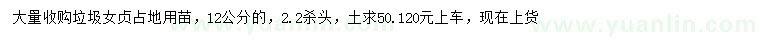 求購(gòu)12公分垃圾女貞