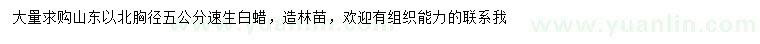 求購胸徑5公分速生白蠟
