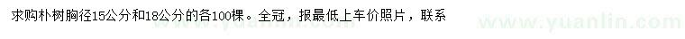 求購胸徑15、18公分樸樹