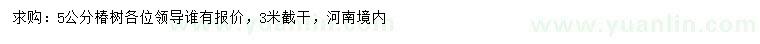 求購5公分椿樹