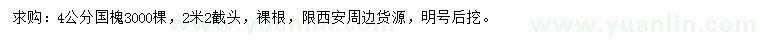 求購(gòu)4公分國(guó)槐