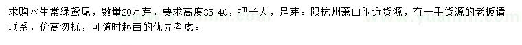 求購高35-40公分鳶尾