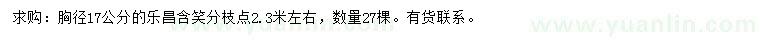 求購胸徑17公分樂昌含笑