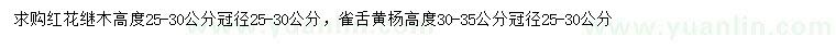 求購高25-30公分紅花繼木