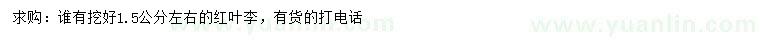 求購1.5公分左右紅葉李