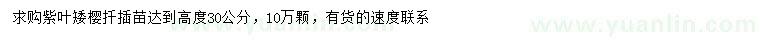 求購高30公分紫葉矮櫻扦插苗