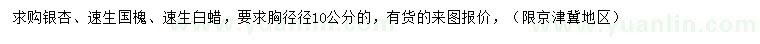 求購銀杏、速生國槐、速生白蠟