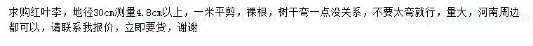 求購地徑30公分量4.8公分以上紅葉李