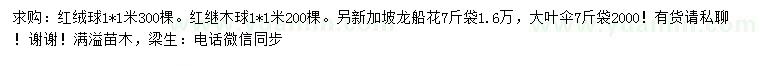 求購紅絨球、紅繼木、龍船花等