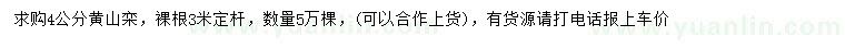 求購4公分黃山欒