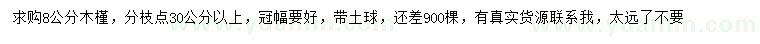 求購8公分木槿
