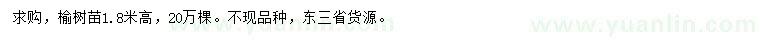 求購高1.8米榆樹苗