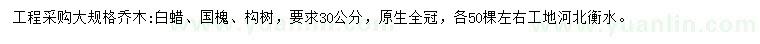 求購白蠟、國槐、構(gòu)樹