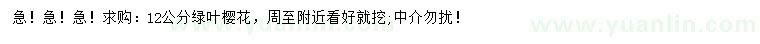 求購12公分綠葉櫻花