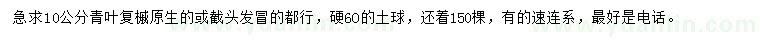 求購(gòu)10公分青葉復(fù)槭