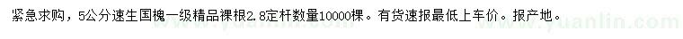 求購(gòu)5公分速生國(guó)槐