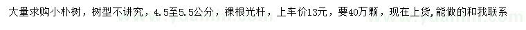 求購4.5-5.5公分小樸樹