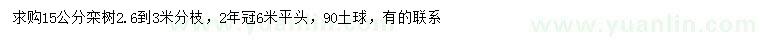求購(gòu)15公分欒樹(shù)