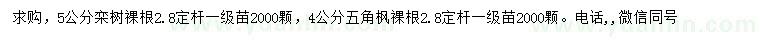 求購(gòu)5公分欒樹(shù)、4公分五角楓