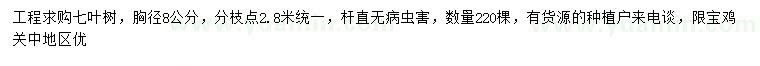 求購胸徑8公分七葉樹