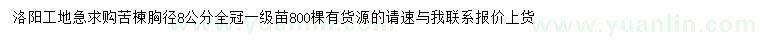 求購(gòu)胸徑8公分苦楝