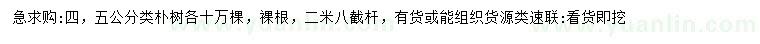 求購4、5公分樸樹