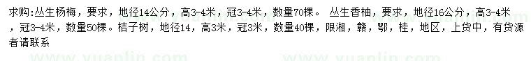 求購叢生楊梅、叢生香柚、桔子樹