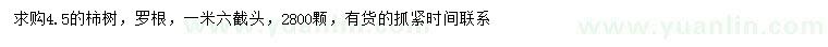 求購4.5公分柿樹