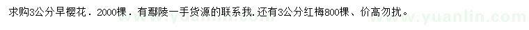 求購(gòu)3公分早櫻、紅梅