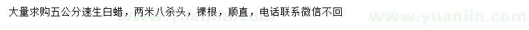 求購(gòu)5公分速生白蠟