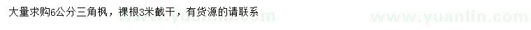 求購6公分三角楓