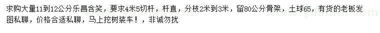 求購(gòu)11-12公分樂(lè)昌含笑