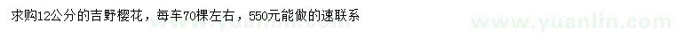 求購12公分吉野櫻花